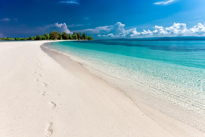 Beach Wedding